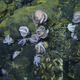 Seventeen octopods huddled on the Dorado Outcrop, most in a brooding posture.